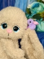 IMG_2122.jpeg